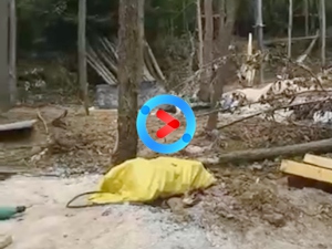 懷化大峽谷軌道滑叢林穿越施工 懷化大峽谷軌道滑叢林穿越施工