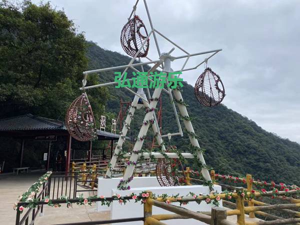 網紅項目 網紅項目